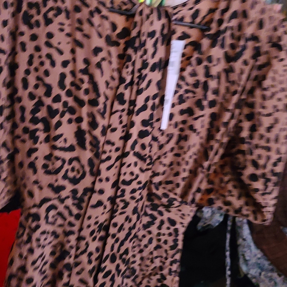 Ladies dress